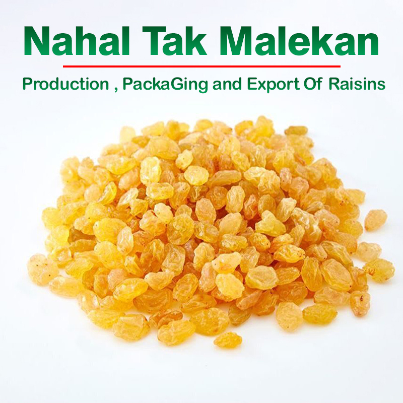 karimi raisins - buy raisins
