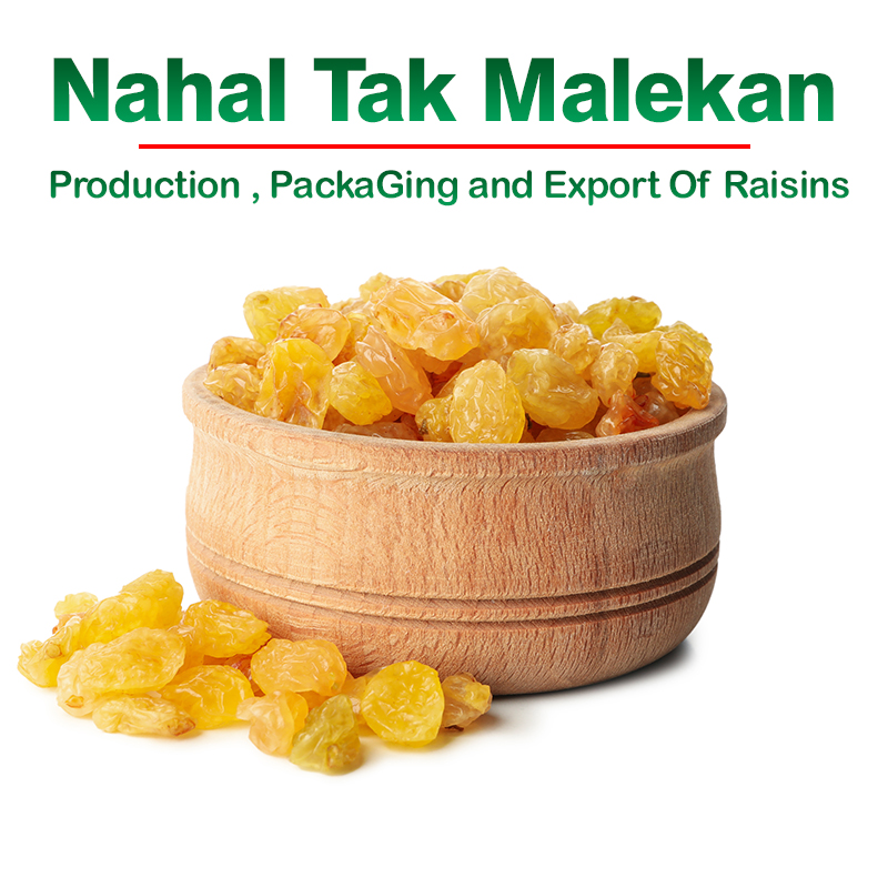Nahal Tak Malekan raisins - buy raisins