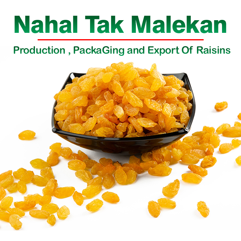 Nahal Tak Malekan raisins - buy raisins