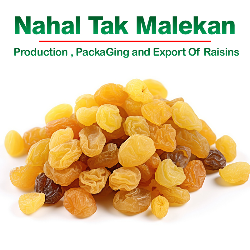 Nahal Tak Malekan raisins - buy raisins