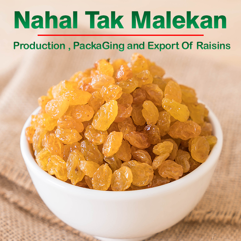 Nahal Tak Malekan raisins - buy raisins