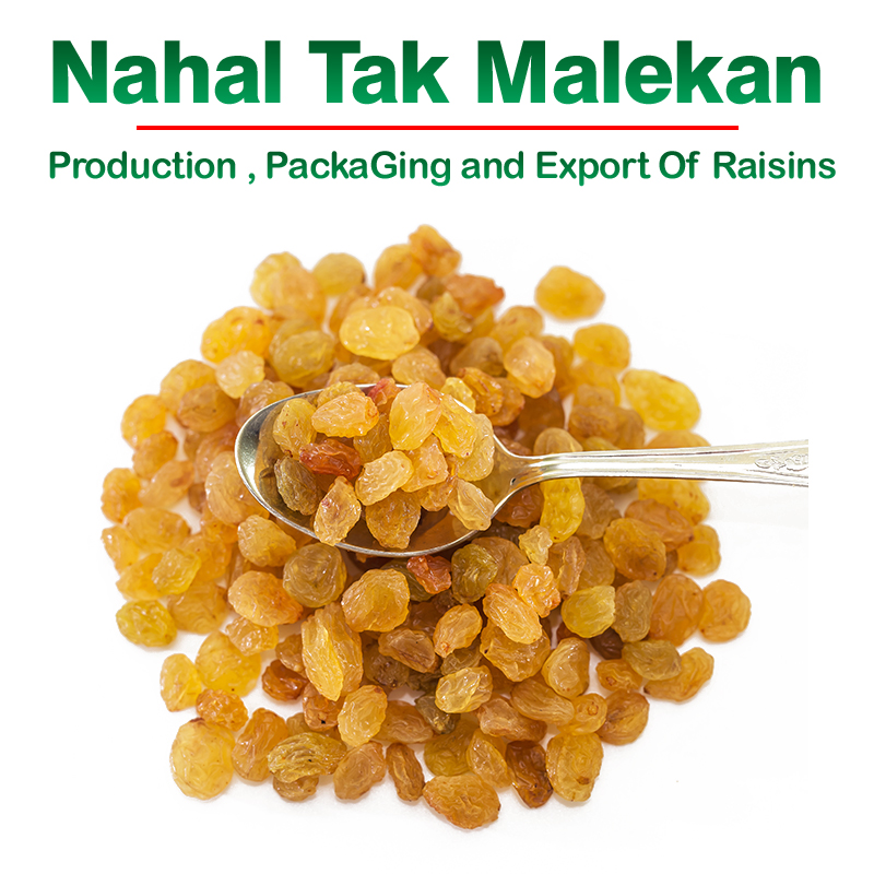 Nahal Tak Malekan raisins - buy raisins