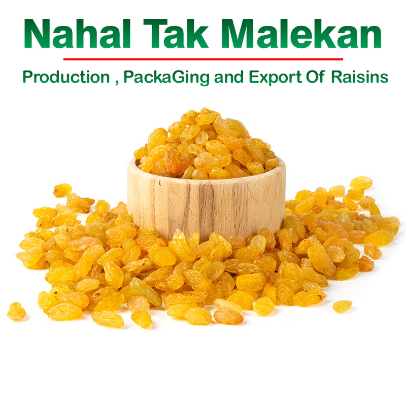 Nahal Tak Malekan raisins - buy raisins