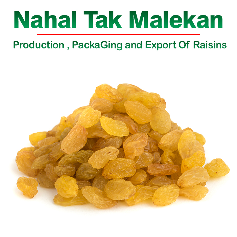 Nahal Tak Malekan raisins - buy raisins